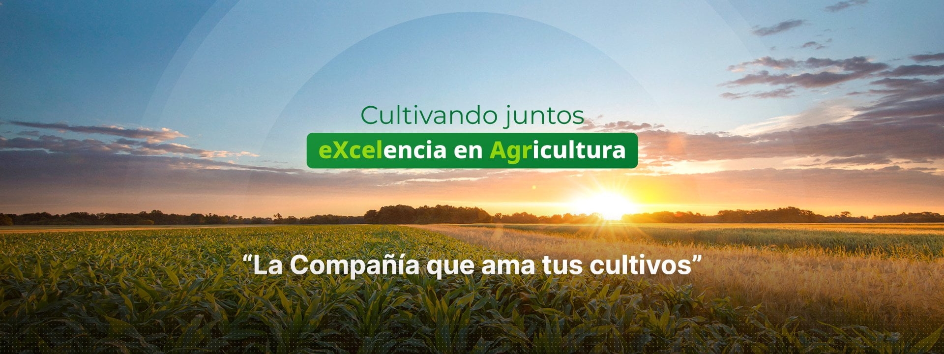 Productos para la nutrición y protección de cultivos Productos para la nutrición y protección de cultivos