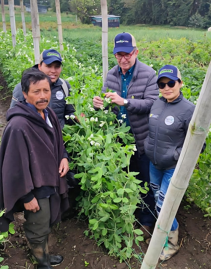 Cultivo Agrexcel